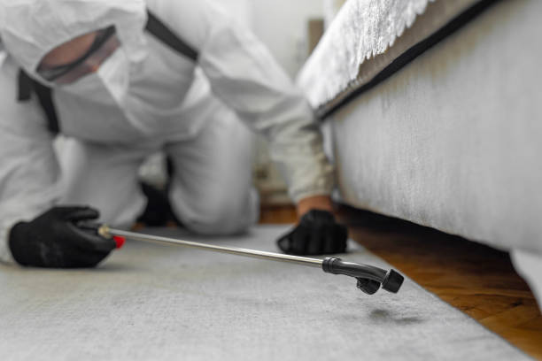 Professional Pest Control technician working in Hilton Head Island, SC