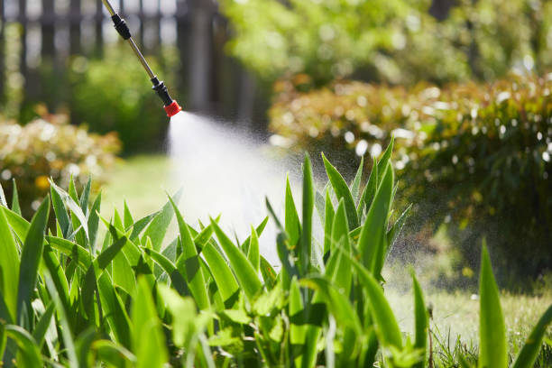 24/7 Emergency Termite Control experts in Hilton Head Island, SC