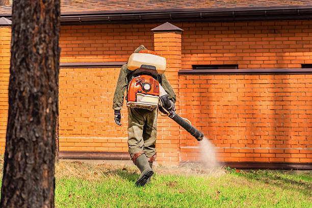 Trusted Fumigation Services service in Hilton Head Island, SC - Nex Pest Control